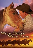 Wild Horse, Wild Ride poster image