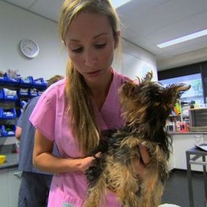 Dr. Chris: Pet Vet