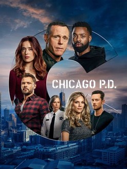 Chicago pd season 4 episode 8 watch online store
