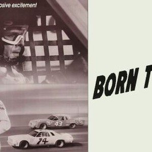 Born to Race photo 8