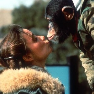Animal Behavior (1989) photo 2