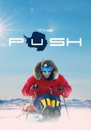 The Push poster image
