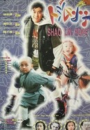 Shaolin Popey poster image