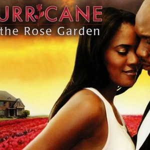 Hurricane in the Rose Garden photo 2