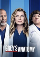 Grey's Anatomy poster image