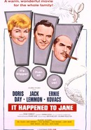 It Happened to Jane poster image