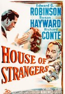 House of Strangers poster image