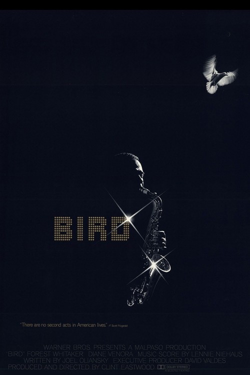 Bird poster