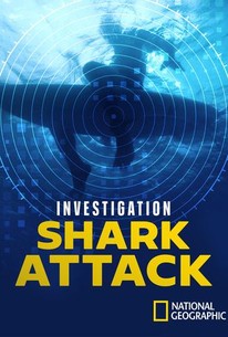 Investigation Shark Attack