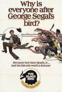 The Black Bird poster