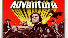 映画ポスター レトロ The Darwin Adventure オリジナル p8234_p_v8_aa.jpg