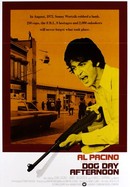 Dog Day Afternoon poster image