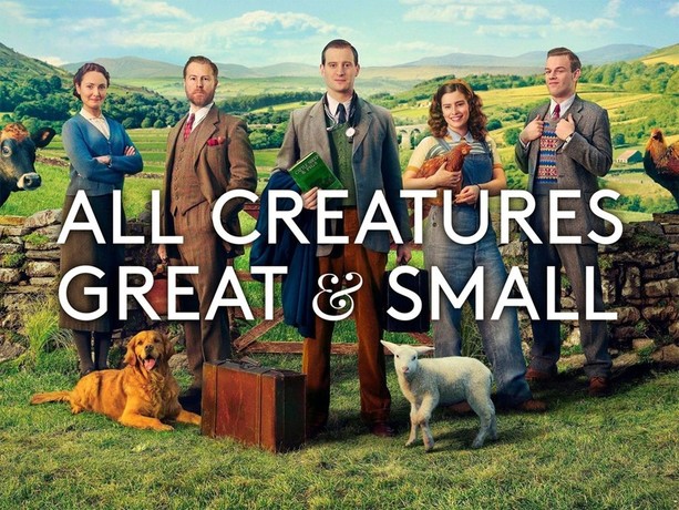 All creatures great and small animal shelter hotsell