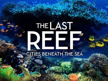 その他 Imax: The Last Reef: Cities Beneath the Sea [Blu-ray] [Import] The Last Reef: Cities Beneath the Sea 4K Blu-ray (IMAX