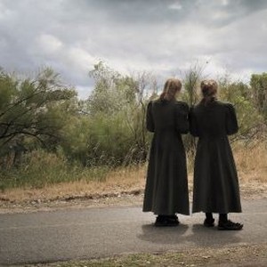 prophets prey prophets prey