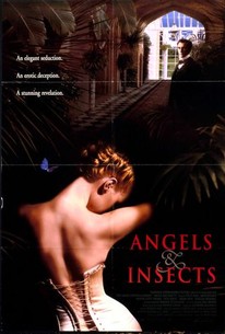 Poster for Angels and Insects