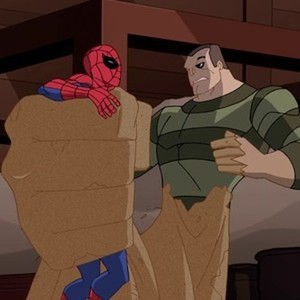 The Spectacular Spider-Man: Season 1 - Rotten Tomatoes