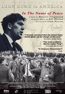 In the Name of Peace: John Hume In America poster image