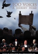 100 Voices: A Journey Home poster image