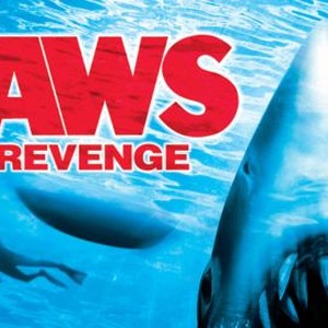 Jaws the Revenge photo 15