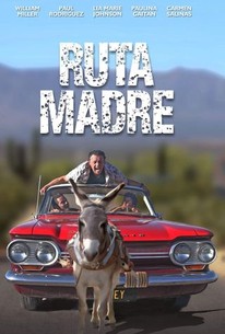 Poster for Ruta madre