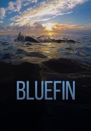 Bluefin poster image