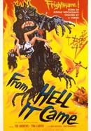 From Hell It Came poster image
