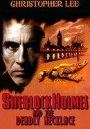 Sherlock Holmes and the Deadly Necklace poster image