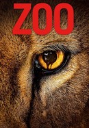 Zoo poster image