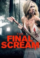 The Final Scream poster image