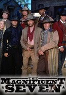 The Magnificent Seven poster image