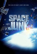 Space Junk poster image
