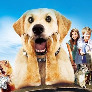 "Diamond Dog Caper photo 12"