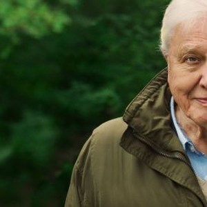 David Attenborough: A Life on Our Planet photo 13