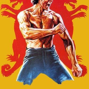 Bruce king of kung online fu