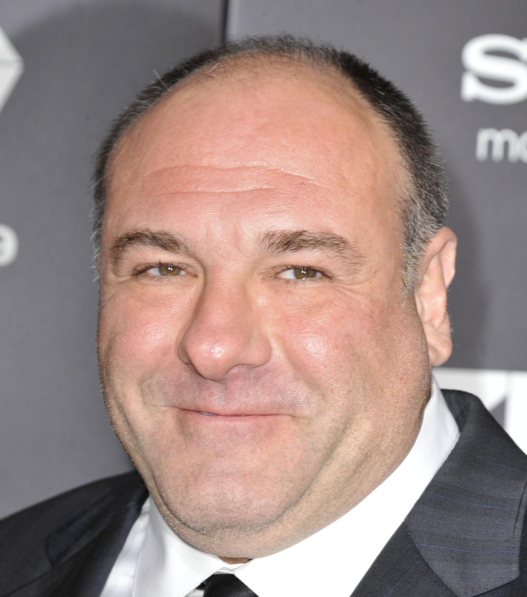 James Gandolfini Rotten Tomatoes