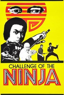 少林寺VS忍者 / Challenge of the Ninja