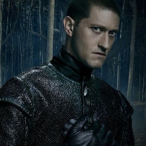 Samuel Roukin as The Sentinel