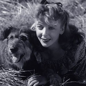 Deep Valley (1947) photo 7