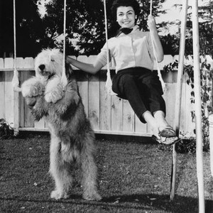 THE SHAGGY DOG, Annette Funicello, 1959