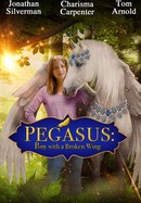 Pegasus: Pony With a Broken Wing poster image