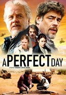 A Perfect Day poster image