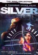 Silver poster image