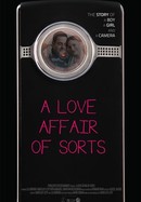 A Love Affair of Sorts poster image