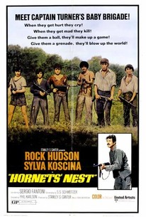 Poster for Hornet's Nest