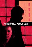 A Short Film About Love poster image