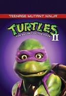 Teenage Mutant Ninja Turtles II: The Secret of the Ooze poster image