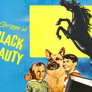 Courage of Black Beauty