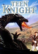Teen Knight poster image