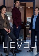The Level poster image